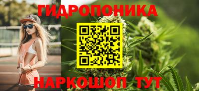 PSILOCYBIN Будённовск