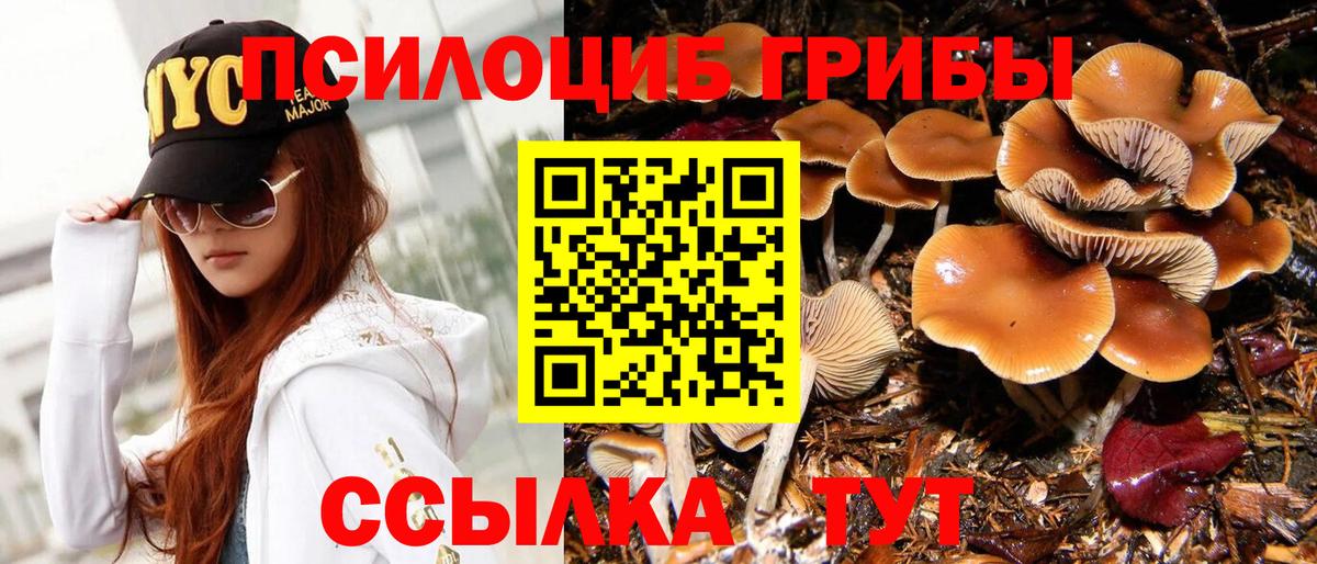 закладка  Галлюциногенные грибы мухоморы  Вход с VPN  Новокузнецк  Псилоцибиновые грибы мицелий 