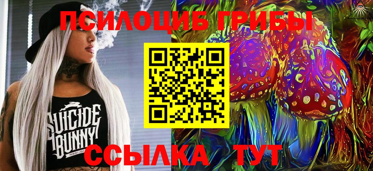 Галлюциногенные грибы GOLDEN TEACHER Новокузнецк